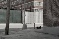 https://www.jaimebelda.com:443/files/gimgs/th-4_DSC5135-copia_P.jpg